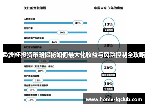 欧洲杯投资策略揭秘如何最大化收益与风险控制全攻略