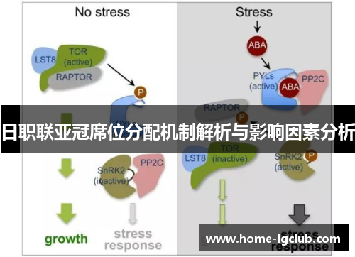 日职联亚冠席位分配机制解析与影响因素分析