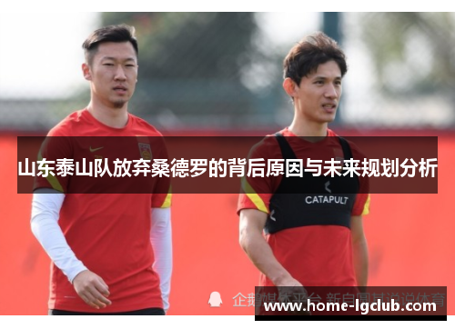 山东泰山队放弃桑德罗的背后原因与未来规划分析