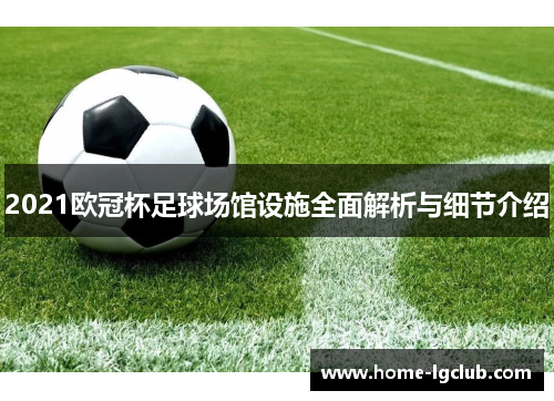 2021欧冠杯足球场馆设施全面解析与细节介绍