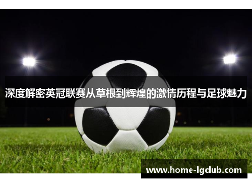 深度解密英冠联赛从草根到辉煌的激情历程与足球魅力